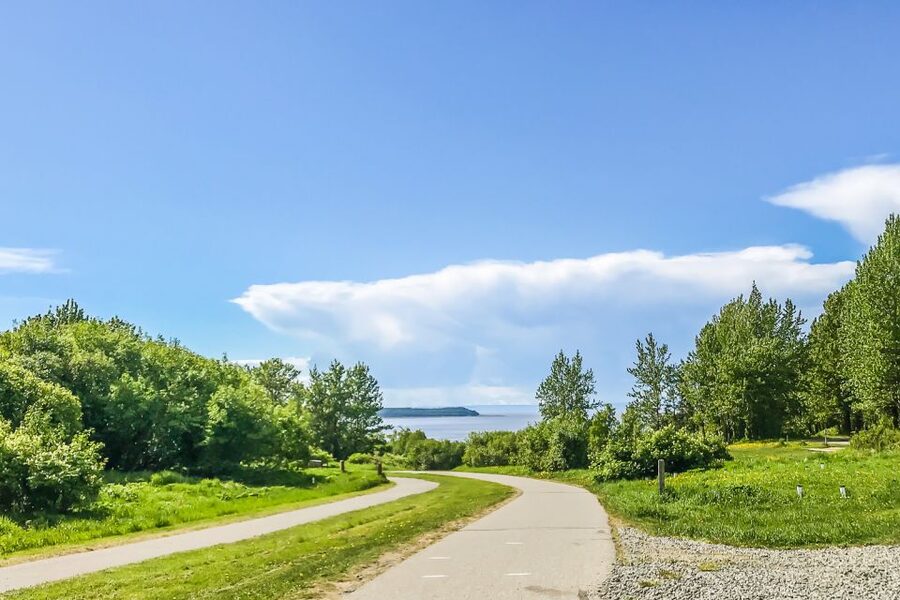 Anchorage: Coastal Trail 3-Hour City Bike Tour - Who should book this bike tour?