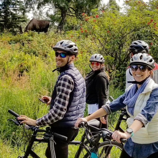 Anchorage: Coastal Trail 3-Hour City Bike Tour - What the pace feels like for different riders