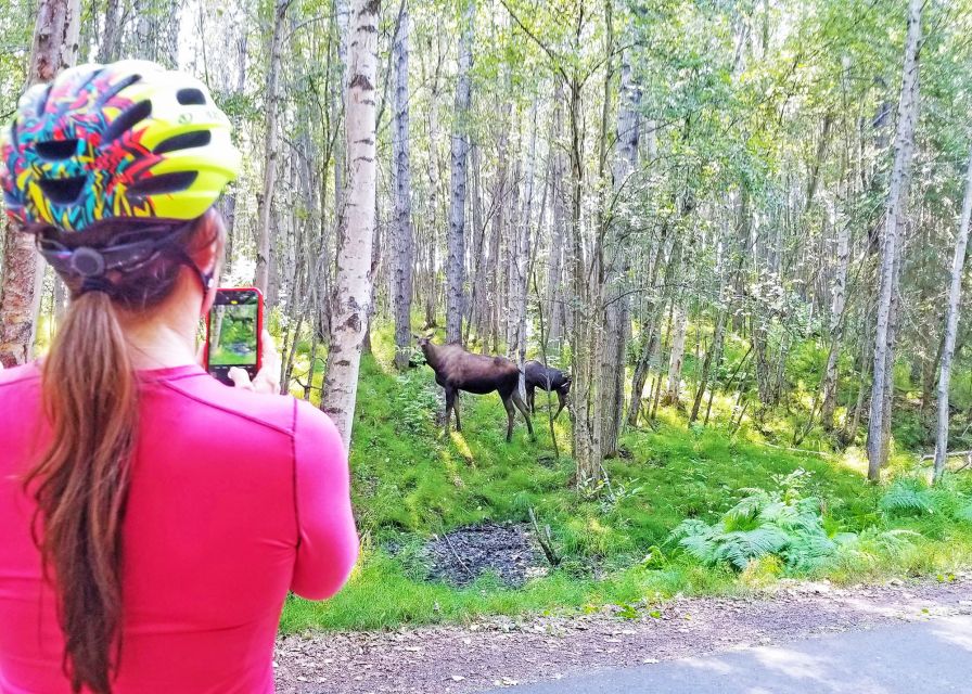 Anchorage: Coastal Trail 3-Hour City Bike Tour - Booking details that matter