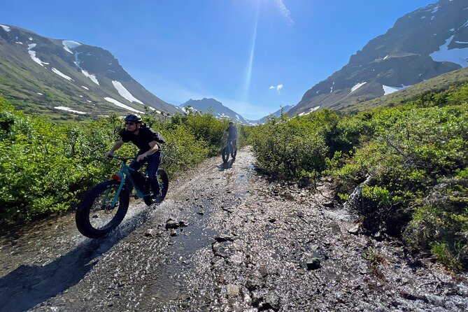 Anchorage Scenic Mountain Bike Tour - Why the guides matter on a rough trail