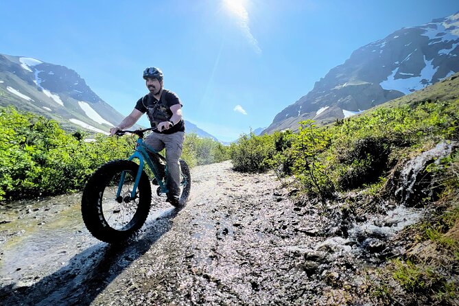 Anchorage Scenic Mountain Bike Tour - What the $169 price includes