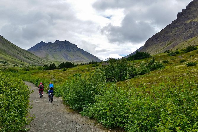 Anchorage Scenic Mountain Bike Tour - Who should book this ride