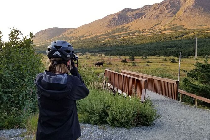 Anchorage Scenic Mountain Bike Tour - Two hours across the Chugach foothills