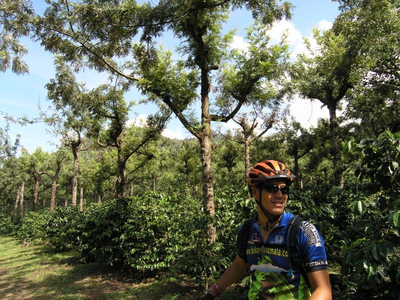 Antigua Sip 'n Cycle Half-Day Bike Ride and Coffee Tour - Booking flexibility and the final call