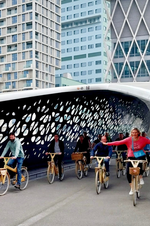 Antwerp: The Big 5 City Highlights by Wooden Bike - Eilandje, MAS, and Antwerp’s changing waterfront