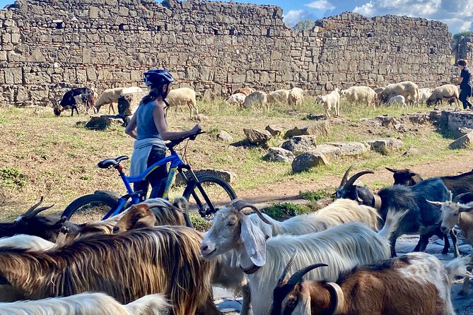 Appian Way & Aqueducts small group e-bike tour(catacombs & food) - How difficult is the cycling?
