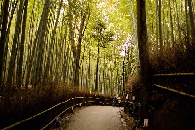 Arashiyama Bamboo Forest E-Biking Tour - Otagi Nenbutsu-ji and its 1,200 playful stone figures