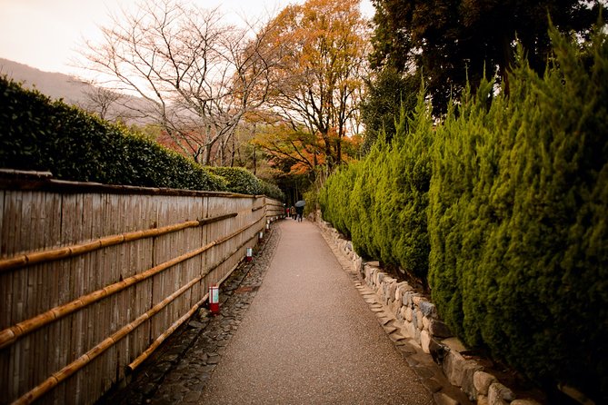 Arashiyama Bamboo Forest E-Biking Tour - What the electric bikes really change