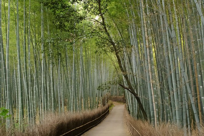 Arashiyama Bamboo Forest E-Biking Tour - Guides who shape the afternoon