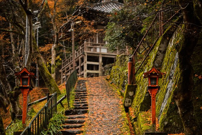 Arashiyama Bamboo Forest E-Biking Tour - The $116 price and what it covers