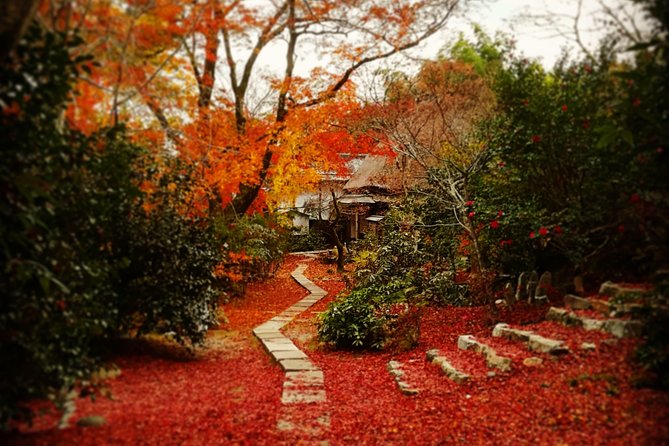 Arashiyama Bamboo Forest & Hidden Gems Bike Tour (Early Bird) - Two wheels on Arashiyama’s quieter lanes