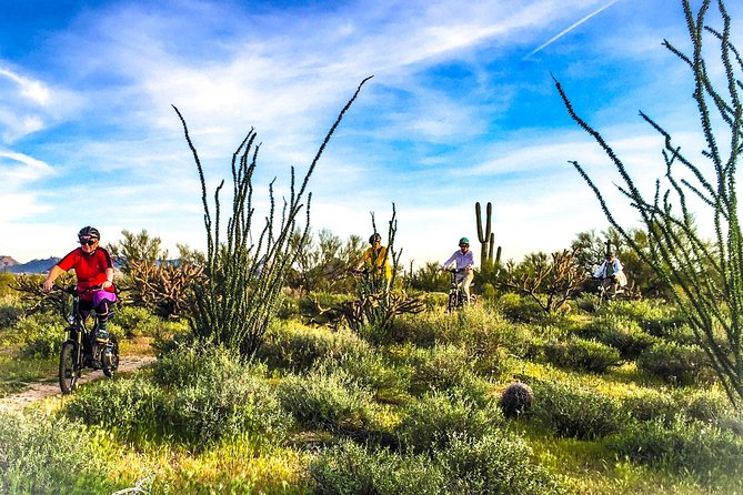 Arizona Desert Guided E-Bike Adventure - Starting at LIMóN Urban Kitchen