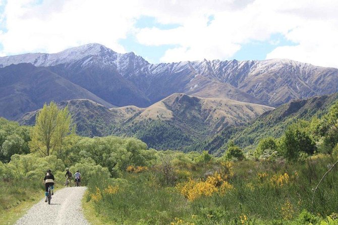 Arrowtown Mountain Bike Hire - A close look at the $52.75 price
