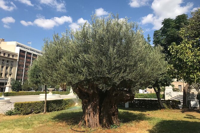 Athens by E-Bike: Monuments, Food & Transfers (Cruise Tour) - A Green Ride Through the National Garden