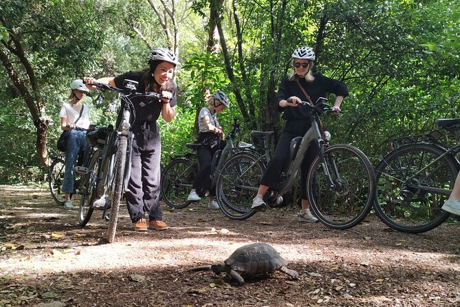 Athens Small Group E-Bike Tour - The Panathenaic Stadium and the National Garden area
