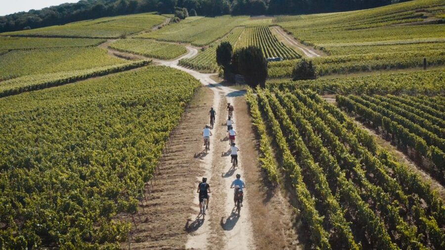Au départ de REIMS : Ebike tour with a local guide ! - A World War One bunker among the vines