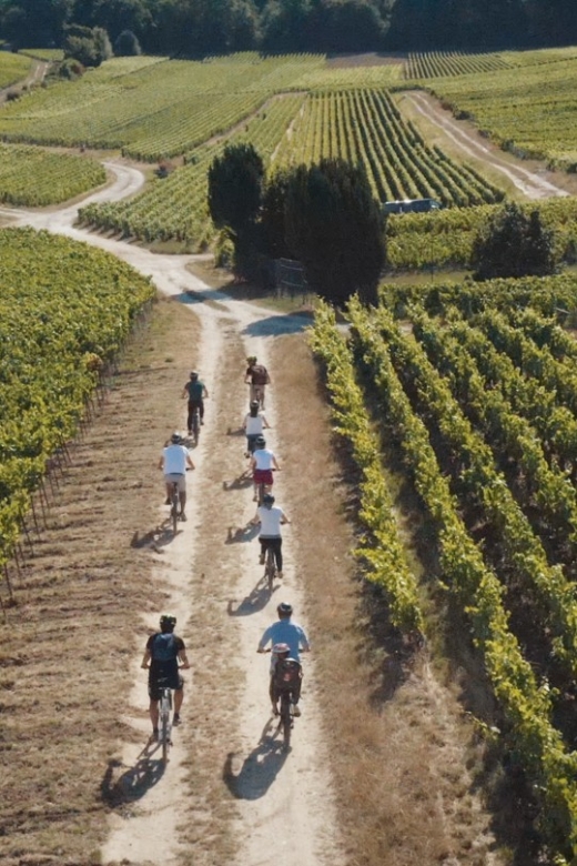 Au départ de REIMS : Ebike tour with a local guide ! - What the $147 price includes