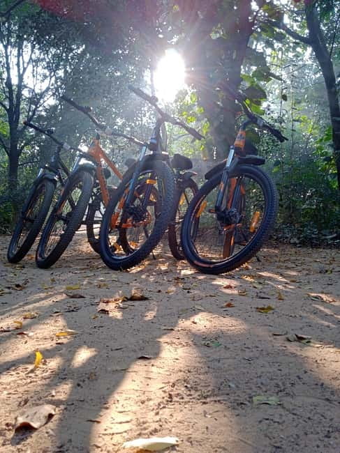 Auroville: Nature Trail Forest Cycling Adventure - Why the bike, hike, bike format works