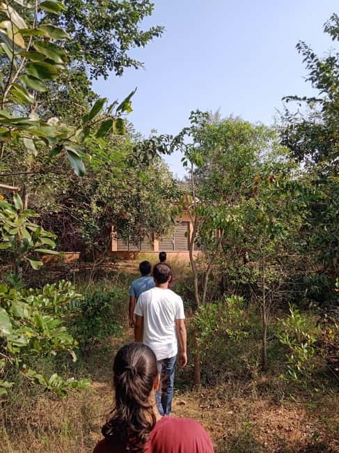 Auroville: Nature Trail Forest Cycling Adventure - Ninety minutes on foot among trees and streams