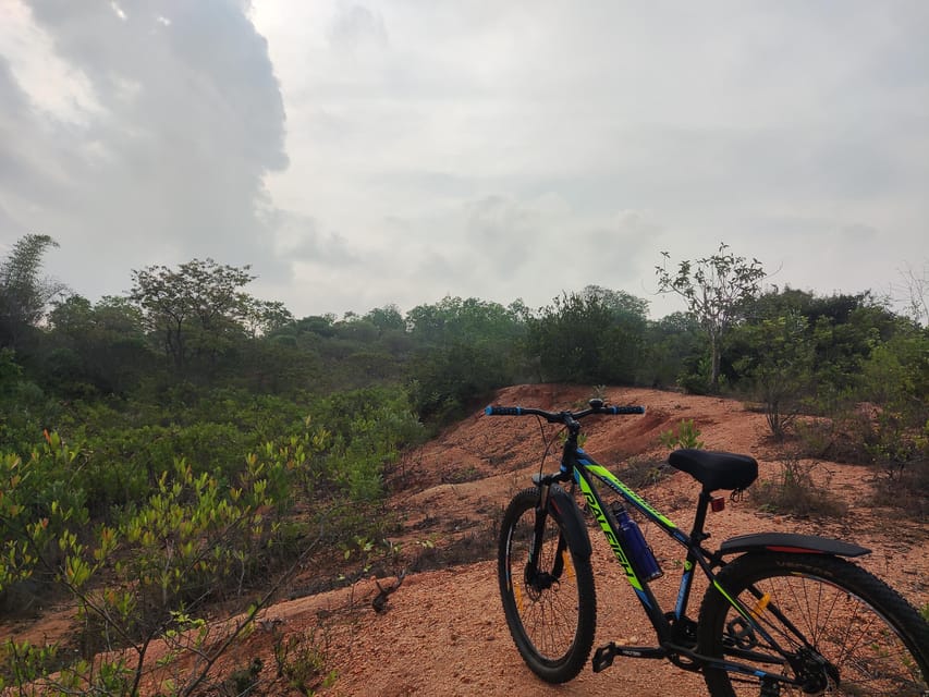 Auroville: Nature Trail Forest Cycling Adventure - What $14 gets you