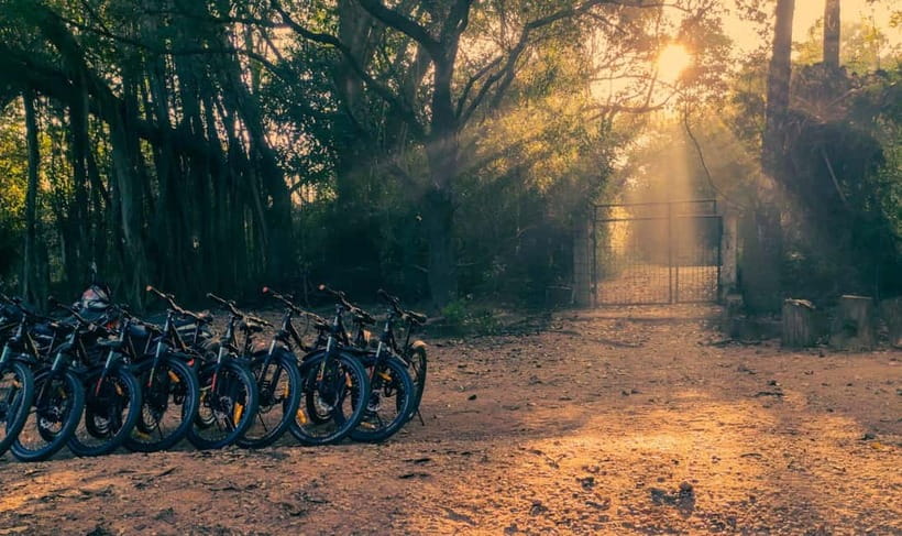 Auroville: Nature Trail Forest Cycling Adventure - The first 45 minutes by mountain bike