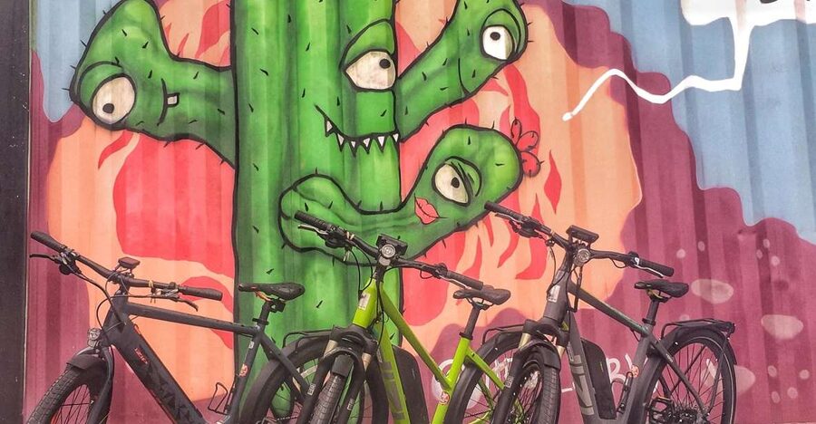 Austin: Electric Bike City Sightseeing Tour - Barton Springs: Austin’s natural swimming hole