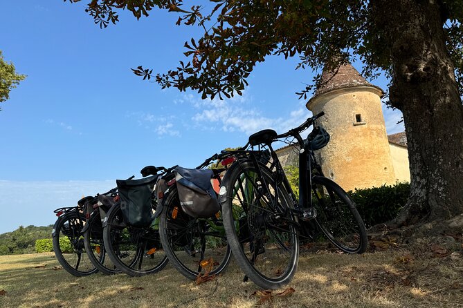 Backcountry E-Bike Adventure from Bordeaux: Wine Tasting & Lunch - From Bordeaux landmarks to the open road