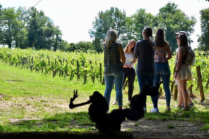 Backcountry E-Bike Adventure from Bordeaux: Wine Tasting & Lunch - Floirac and the right-bank view