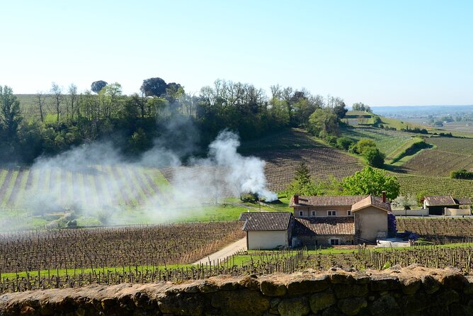 Backcountry E-Bike Adventure from Bordeaux: Wine Tasting & Lunch - Latresne and the river route