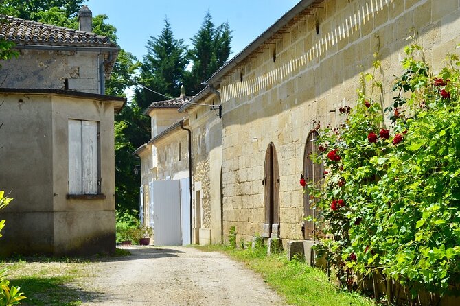 Backcountry E-Bike Adventure from Bordeaux: Wine Tasting & Lunch - Wine tasting, canelé, and lunch in Créon