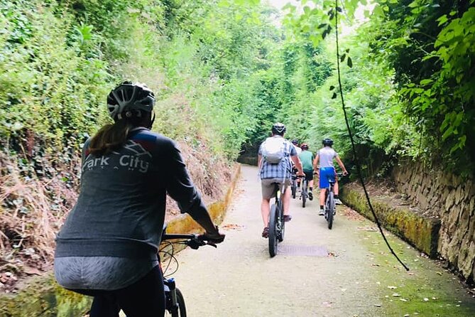 Backroads & Limoncello Experience: Sorrento E-Bike Tour - Lemon groves, but not a private orchard trail