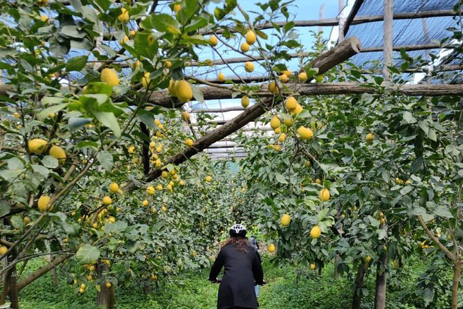Backroads & Limoncello Experience: Sorrento E-Bike Tour - Guides make the difference