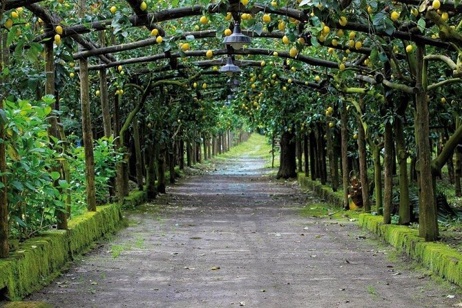 Backroads & Limoncello Experience: Sorrento E-Bike Tour - Timing, weather, and practical details