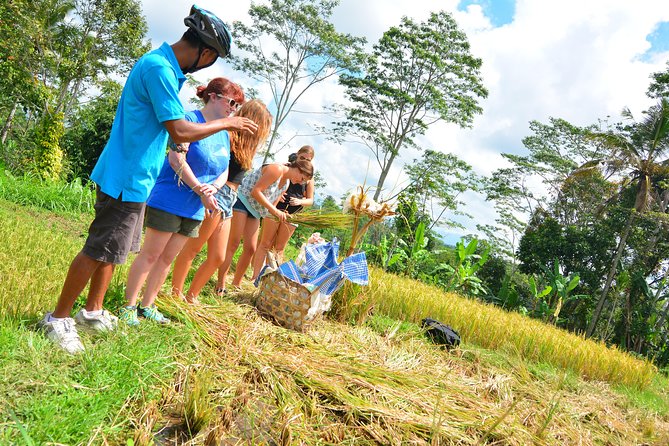 Bali Countryside Cycling Tours - What the downhill cycling is really like