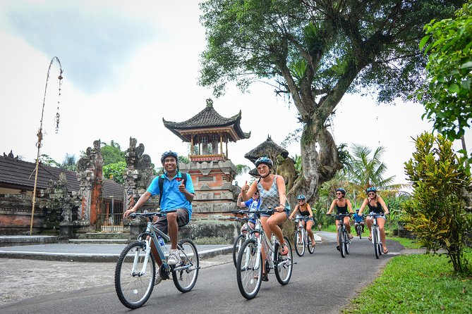 Bali Countryside Cycling Tours - The coffee plantation and the civet coffee question
