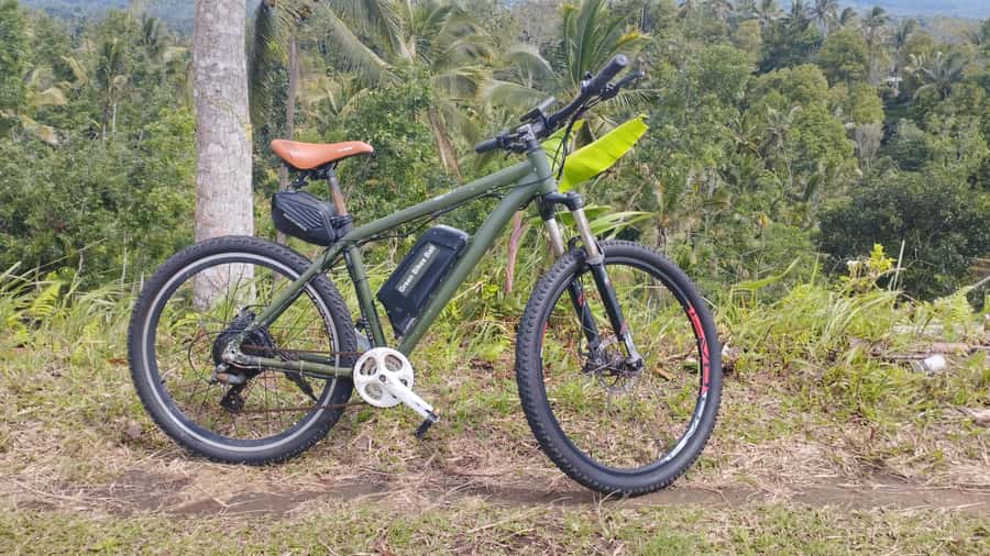 Bali: Jatiluwih Rice Terraces 1 Hour Electric Bike Tour - Meeting at Gunungsari in central Jatiluwih
