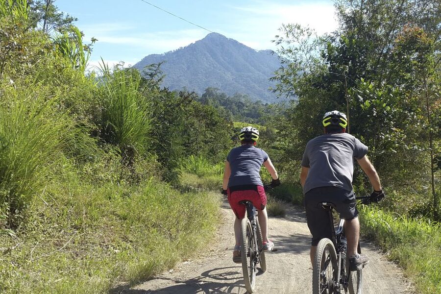 Bali: Jatiluwih Rice Terraces 1 Hour Electric Bike Tour - Price, included equipment, and the extra entrance fee