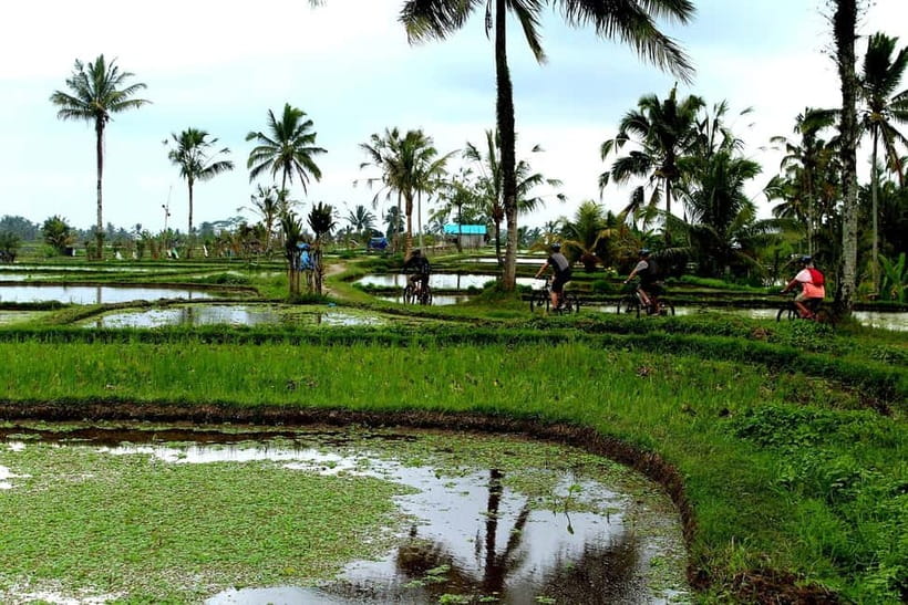 Bali: Kintamani Downhill Bike Tour, Jungle and Waterfalls - Balinese lunch in a natural setting