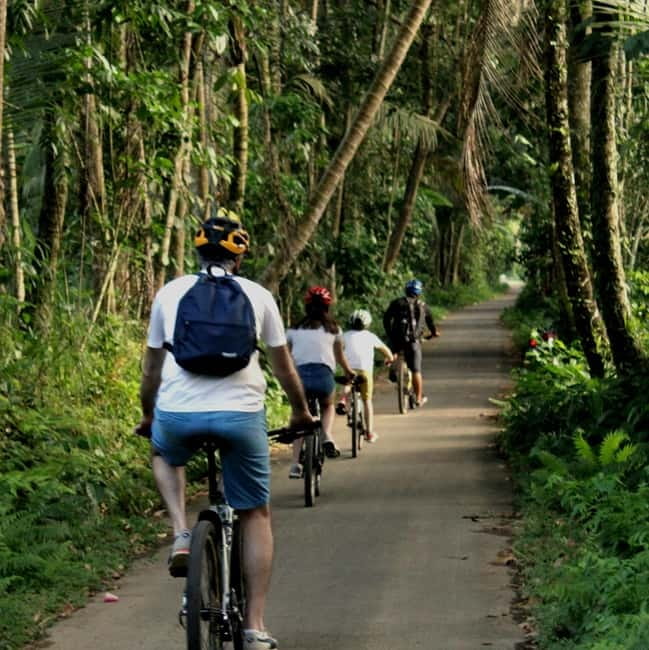 Bali: Kintamani Downhill Bike Tour, Jungle and Waterfalls - Rolling through coffee country and bamboo forest