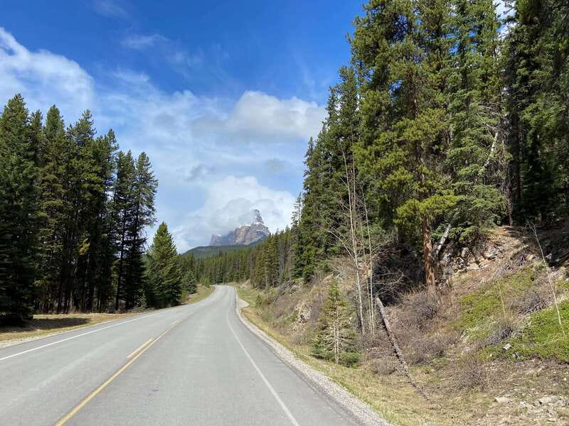 Banff: 4-Hour E-Bike and Walking Tour in Johnston Canyon - What your guide adds to the day
