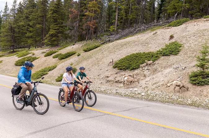 Banff Mountain Lakeside - E-bike Tour - Two Jack Lake and the final stretch