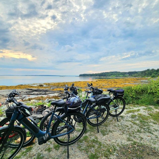 Bar Harbor: Acadia National Park Carriage Roads Ebike Tour - Why an e-bike makes the Carriage Roads practical