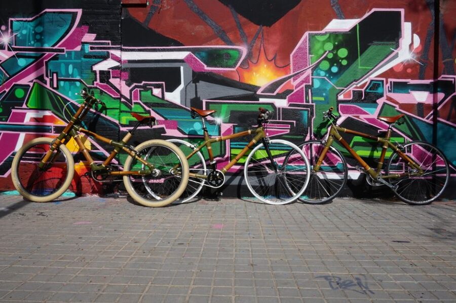 Barcelona: 3.5-Hour Street Art Tour by Bamboo Bike - Who will enjoy this most