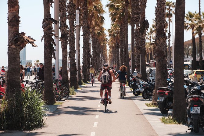 Barcelona 3-hour Bike or E-Bike Tour: Highlights and Hidden Gems - The Sagrada Família, seen in context