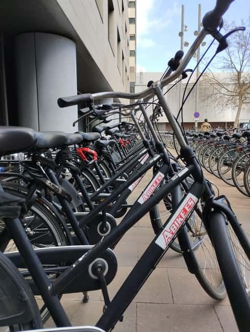 Barcelona: Bike Rental for 2 - 24 Hours - Who will enjoy this rental most