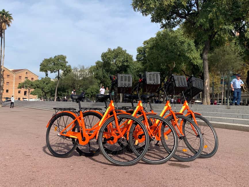 Barcelona Bike Tour: Iconic Sights & Hidden Spots - What the $25 Price Really Buys You