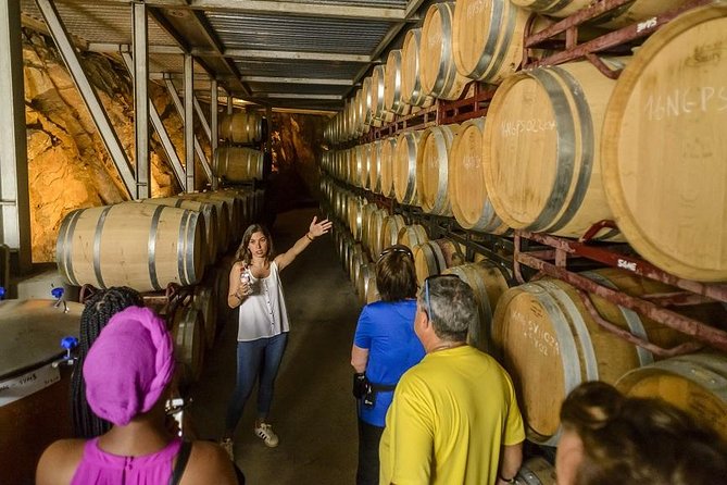 Barcelona eBike Beach Private Tour to Vineyards & Picnic - Alella vineyards and four local wines
