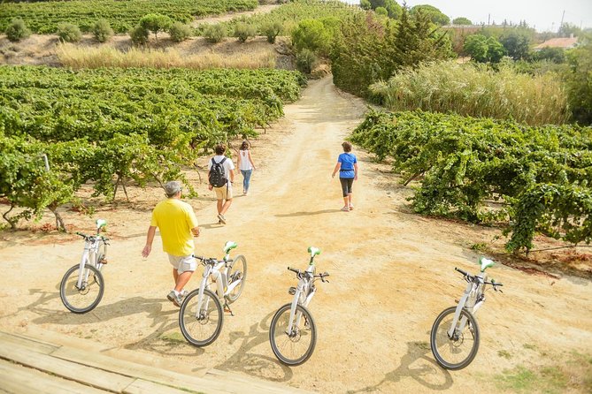 Barcelona eBike Beach Private Tour to Vineyards & Picnic - Arc de Triomf, Born, and the finish