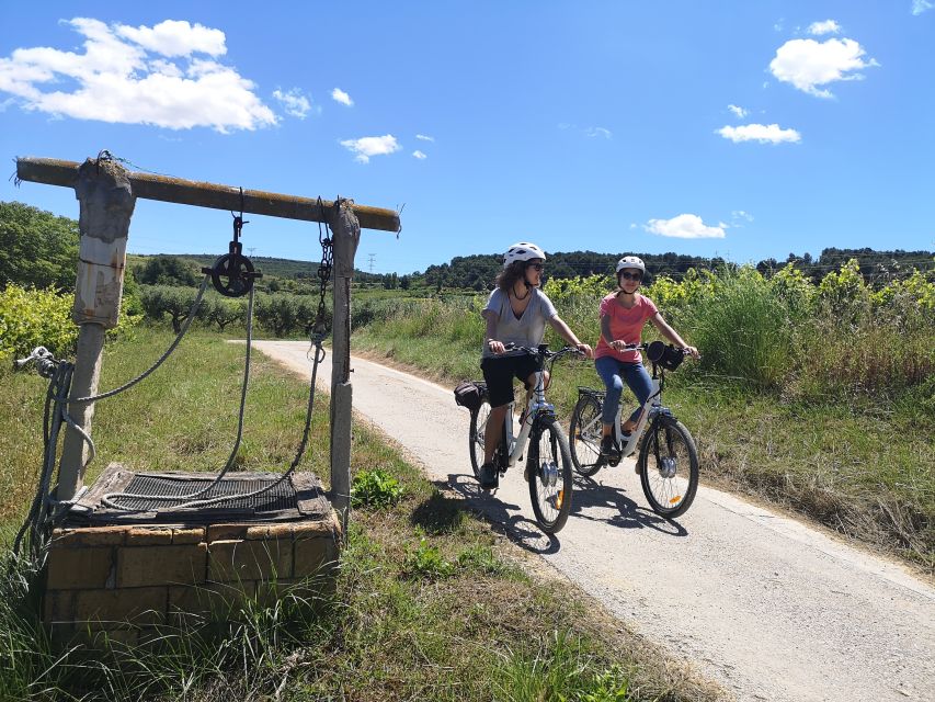 Barcelona: Guided Half-Day Wine and Electric Bike Tour - A few practical tips for a smoother day