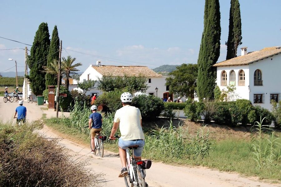Barcelona: Guided Half-Day Wine and Electric Bike Tour - Meeting a fourth-generation wine-growing family